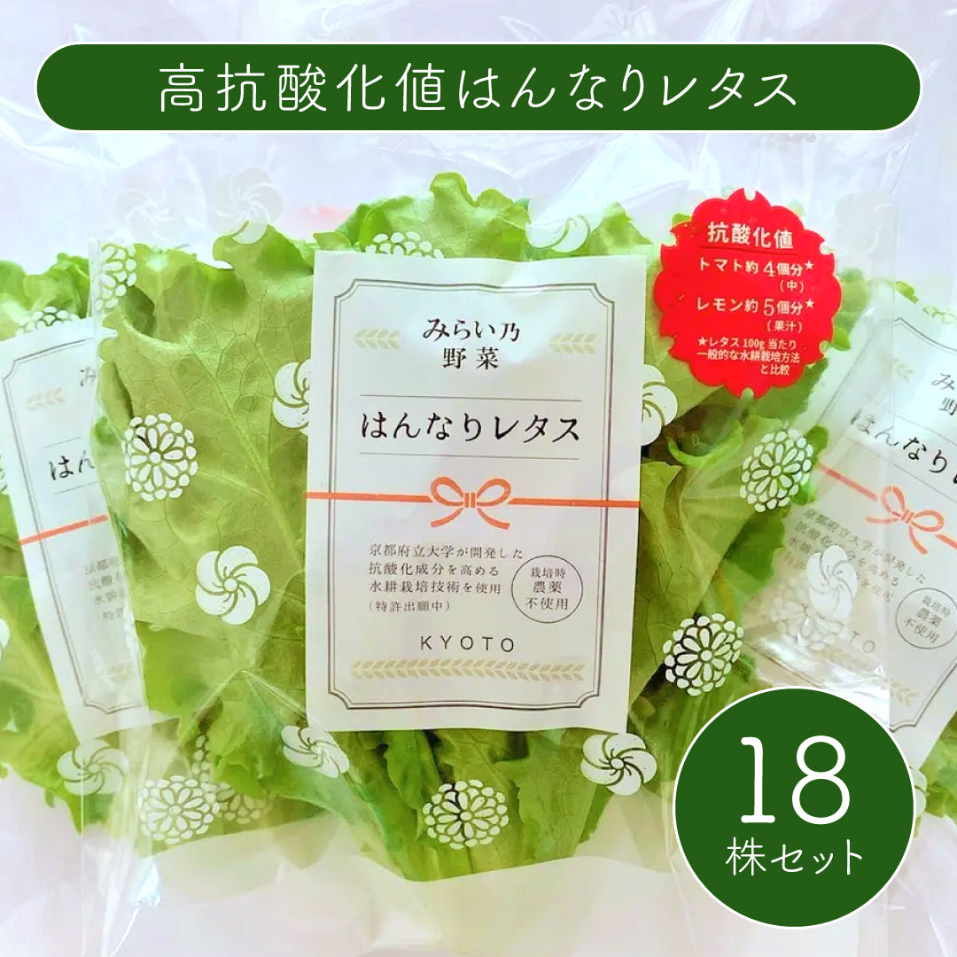 No.189 オーダーマスク　野菜　ハンドメイド　おまとめ割 みらい乃野菜 高抗酸化値はんなりレタス（1株60g前後）18株セット