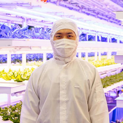 みらい乃野菜　高抗酸化値はんなりレタス（1株60g前後）5株セット