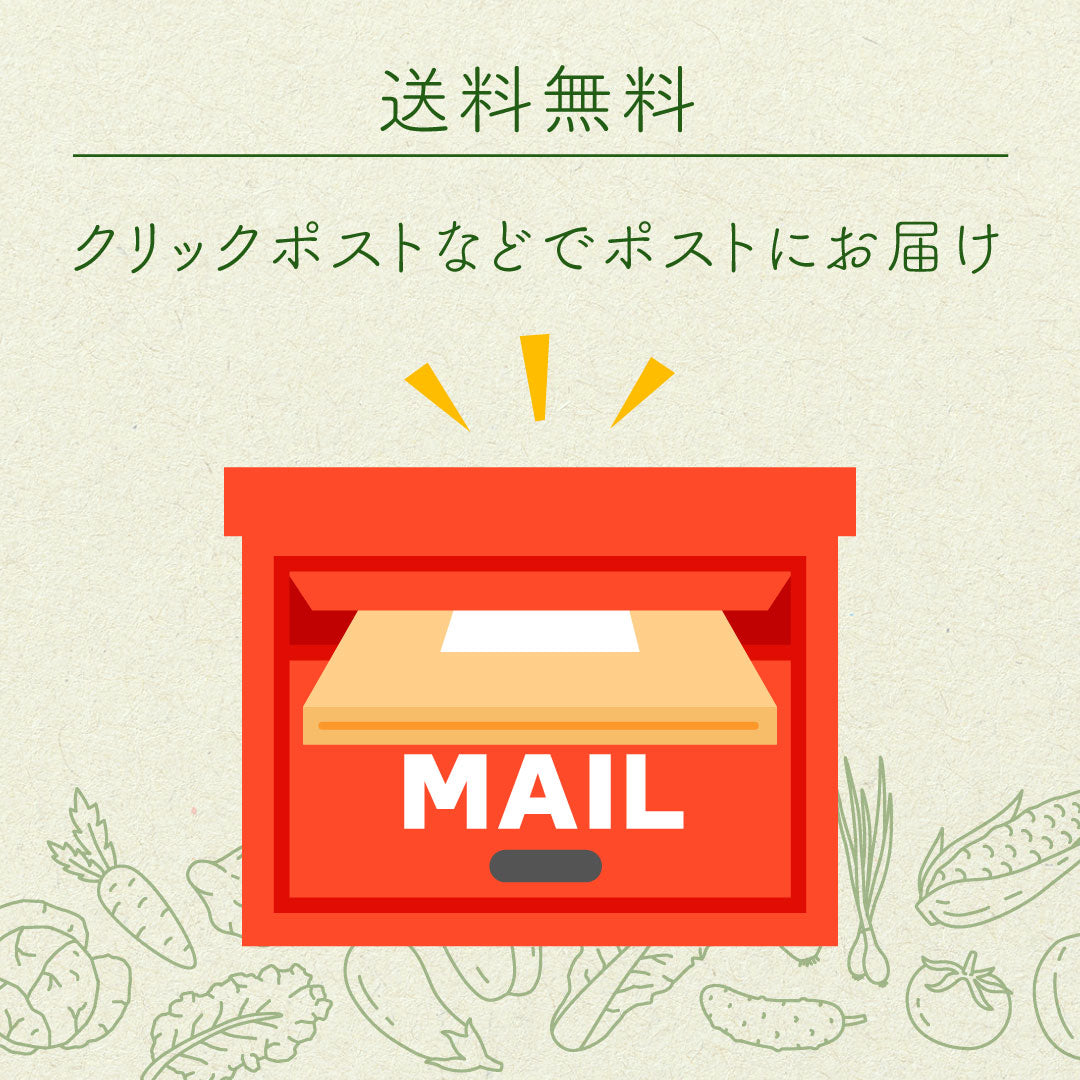 菜やさい菜 乾燥野菜 京都にんじん