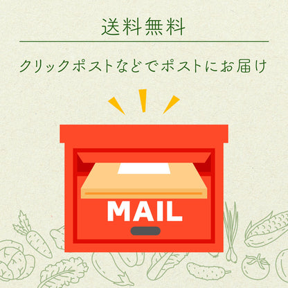 菜やさい菜 乾燥野菜 京都にんじん