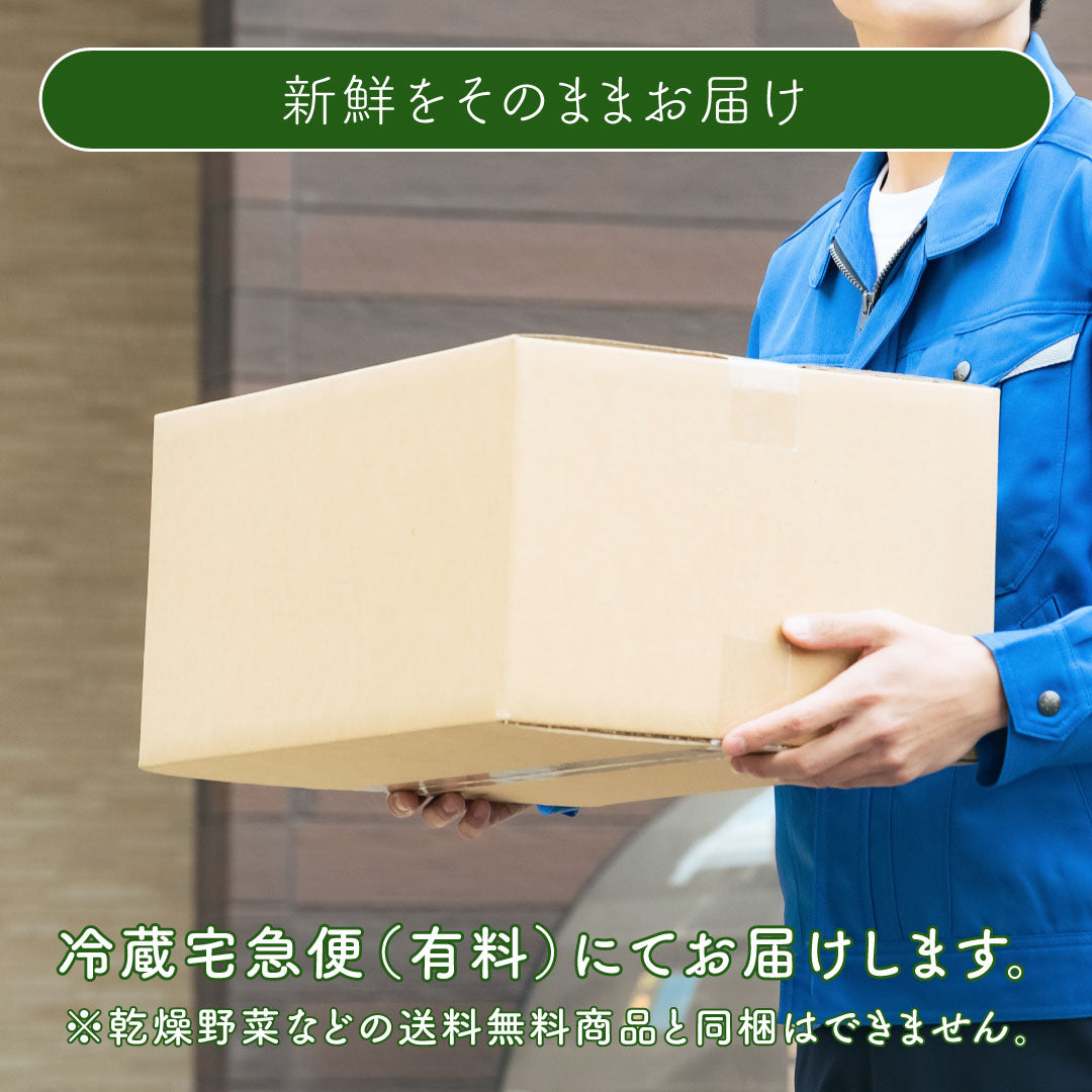 みらい乃野菜 高抗酸化値はんなりレタス（1株60g前後）18株セット