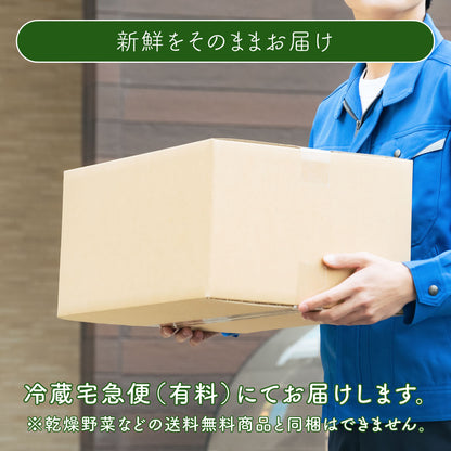 みらい乃野菜　高抗酸化値はんなりレタス・おケールはん（1株各60g前後）各3株ずつ　合計6株セット