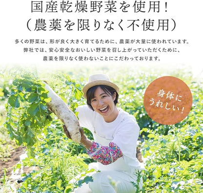 菜やさい菜 乾燥野菜 京都にんじん